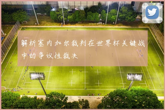 解析塞内加尔裁判在世界杯关键战中的争议性裁决