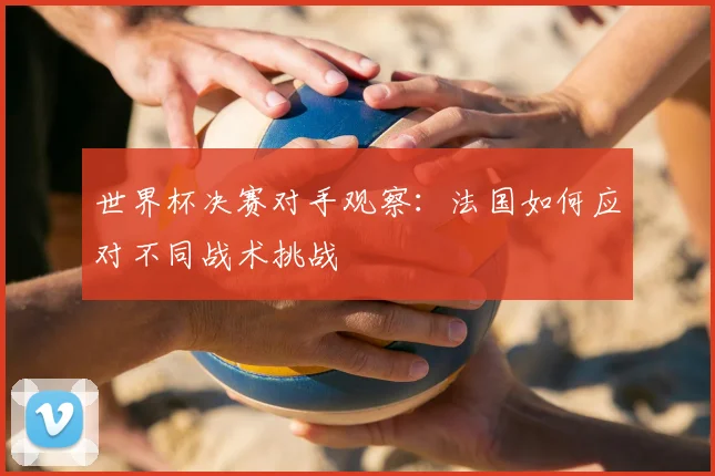 世界杯决赛对手观察：法国如何应对不同战术挑战