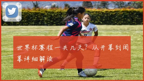 世界杯赛程一共几天？从开幕到闭幕详细解读