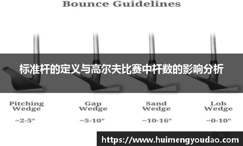 标准杆的定义与高尔夫比赛中杆数的影响分析